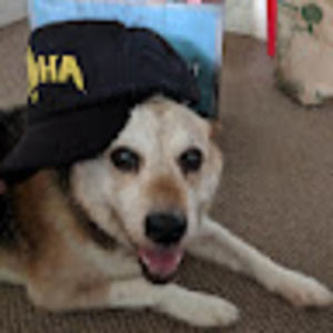 Meet your Posher, Clint